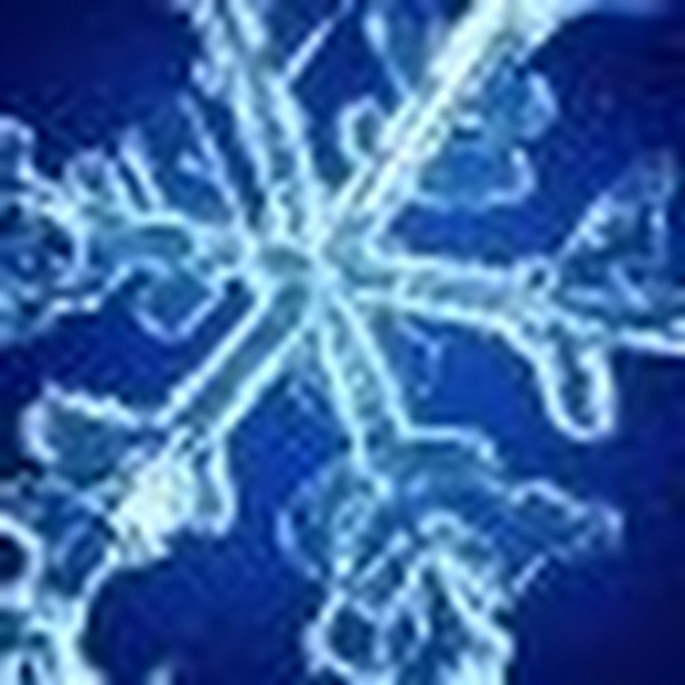 Meet your Posher, Jared